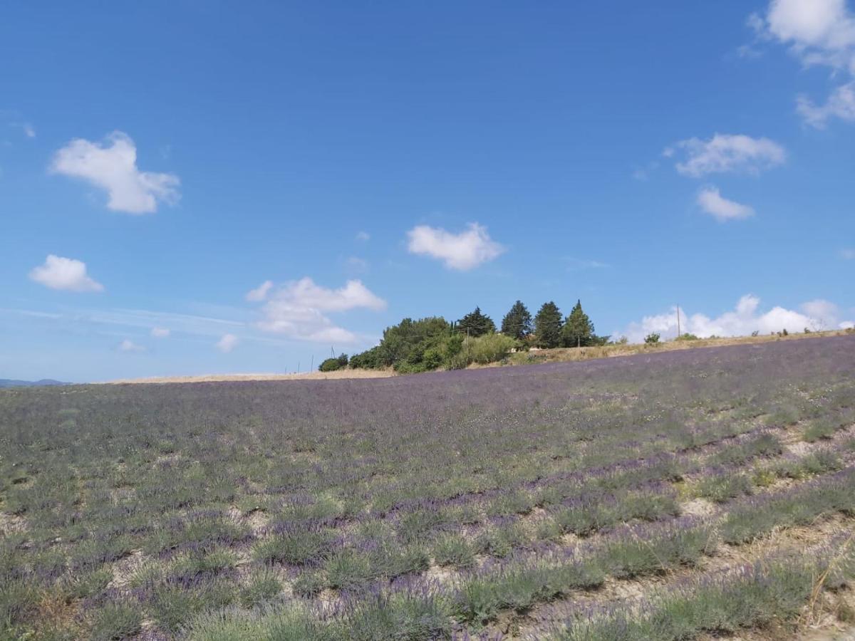 Agriturismo Mandriato ซานตาลูเช ภายนอก รูปภาพ